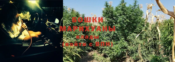 гашик Белокуриха