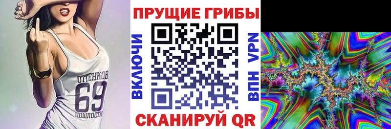Псилоцибиновые грибы Psilocybine cubensis  даркнет сайт  Кузнецк 
