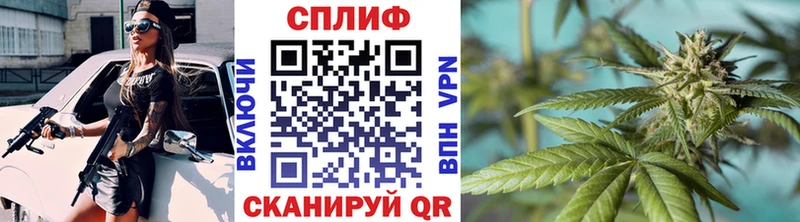где найти наркотики Кузнецк Конопля гибрид